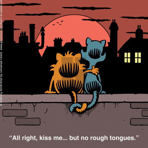 Learn to Speak Cat on Sunday May 11, 2025 Comic Strip