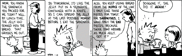Calvin and Hobbes - Wednesday November 28, 1990 Comic Strip