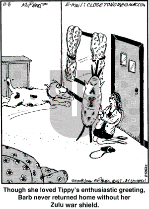 Close to Home on Saturday November 8, 2008 Comic Strip