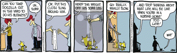 The Buckets on Tuesday November 21, 2017 Comic Strip