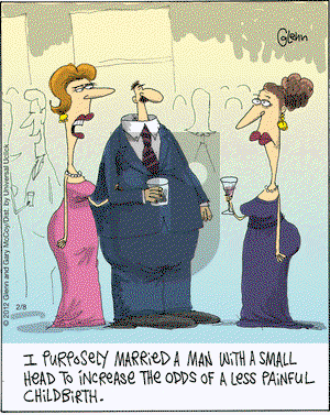 The Flying McCoys on Wednesday February 8, 2012 Comic Strip