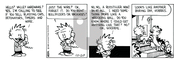 Calvin and Hobbes on Friday October 20, 1989 Comic Strip