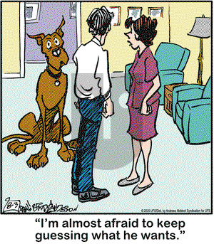 Marmaduke on Monday August 3, 2020 Comic Strip