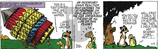 Over the Hedge on Wednesday July 9, 2008 Comic Strip