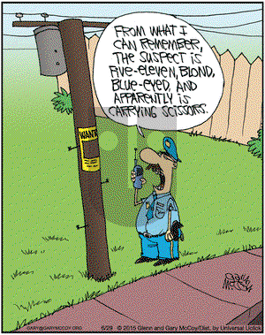 The Flying McCoys on Monday June 29, 2015 Comic Strip