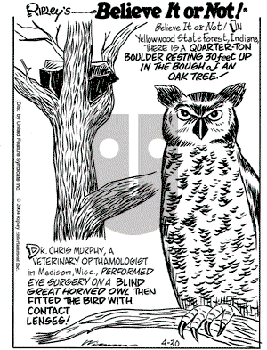 Ripley's Believe It or Not on Friday April 30, 2004 Comic Strip