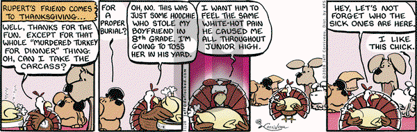DeFlocked on Friday November 28, 2008 Comic Strip