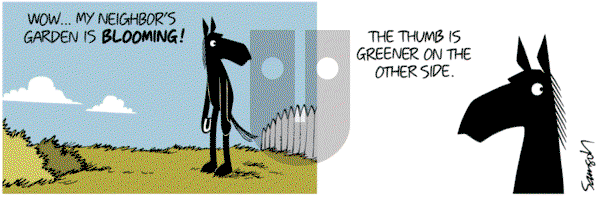 Dark Side of the Horse on Sunday August 25, 2019 Comic Strip
