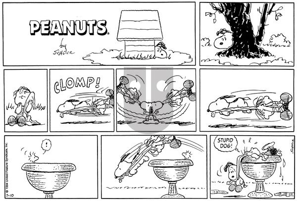 Peanuts on Sunday July 10, 1994 Comic Strip