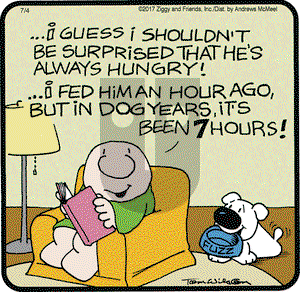Ziggy on Wednesday July 4, 2018 Comic Strip