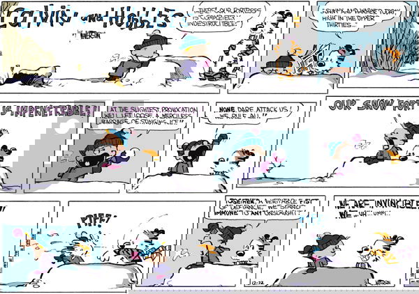 Calvin and Hobbes on Sunday December 22, 1985 Comic Strip