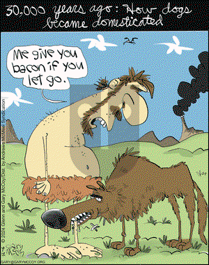 The Flying McCoys - Friday December 6, 2024 Comic Strip