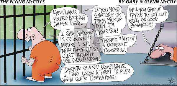 The Flying McCoys on Sunday February 18, 2018 Comic Strip