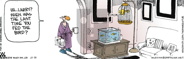 Non Sequitur on Tuesday October 30, 2018 Comic Strip
