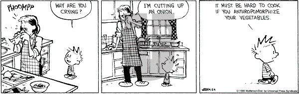 Calvin and Hobbes - Thursday May 4, 1995 Comic Strip