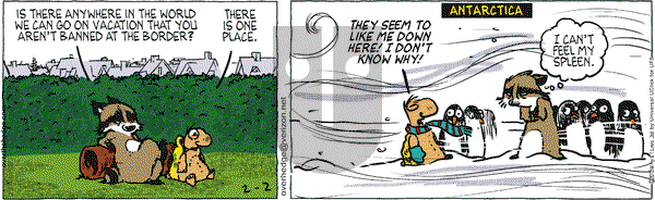 Over the Hedge on Saturday February 2, 2013 Comic Strip