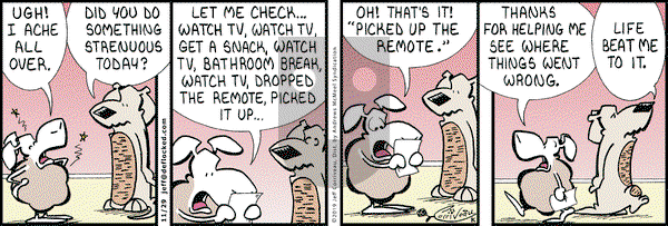 DeFlocked on Friday November 29, 2019 Comic Strip