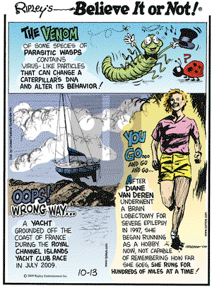 Ripley's Believe It or Not - Tuesday October 13, 2009 Comic Strip