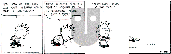 Calvin and Hobbes - Friday June 9, 1995 Comic Strip