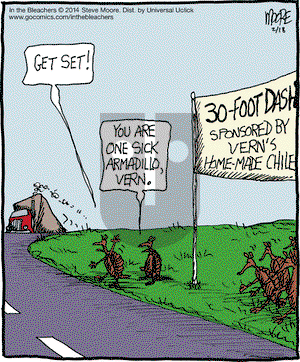 In the Bleachers on Tuesday February 18, 2014 Comic Strip