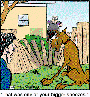Marmaduke on Friday January 3, 2020 Comic Strip