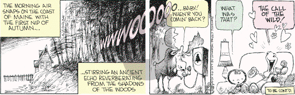 Non Sequitur on Monday September 6, 2004 Comic Strip