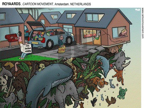 ViewsBusiness on Friday November 8, 2024 Comic Strip