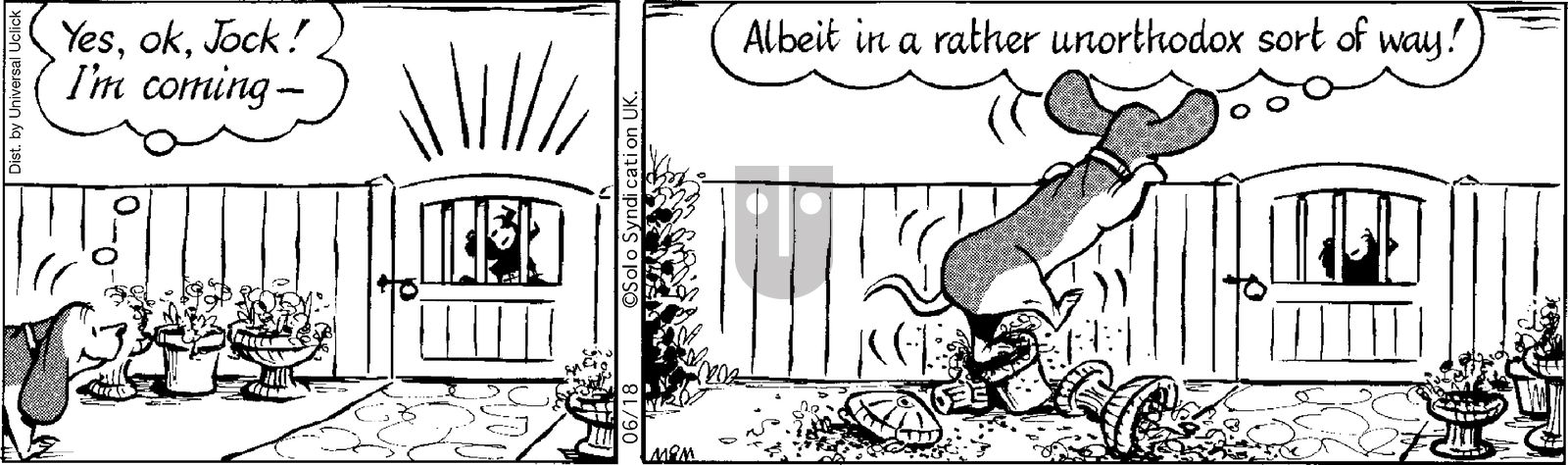 Fred Basset on Wednesday June 18, 2014 Comic Strip