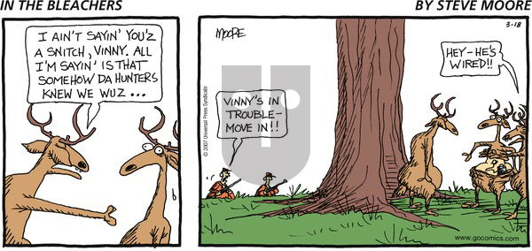 In the Bleachers on Sunday March 18, 2007 Comic Strip