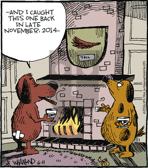 Reality Check on Saturday June 11, 2016 Comic Strip