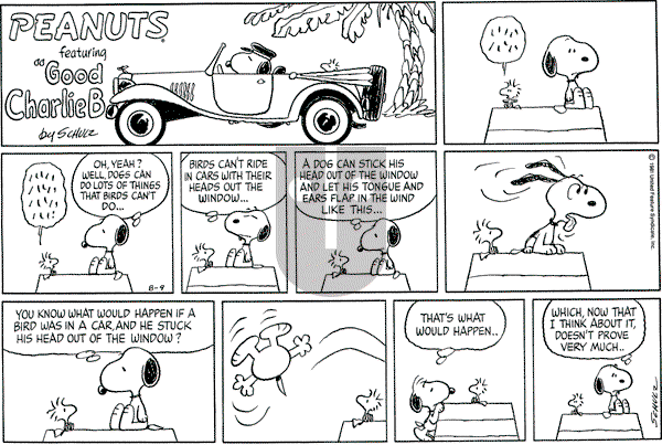 Peanuts - Sunday August 9, 1981 Comic Strip