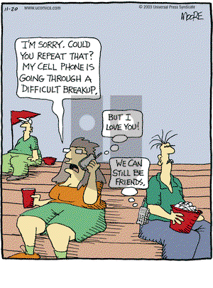 In the Bleachers on Thursday November 20, 2003 Comic Strip