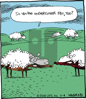 Reality Check on Saturday December 5, 2009 Comic Strip