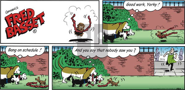 Fred Basset on Sunday July 2, 2017 Comic Strip