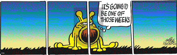 Mother Goose and Grimm on Monday July 28, 2025 Comic Strip