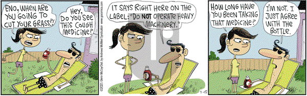 The Duplex on 2025-07-15 Comic Strip