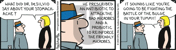 The Born Loser on Friday August 16, 2024 Comic Strip