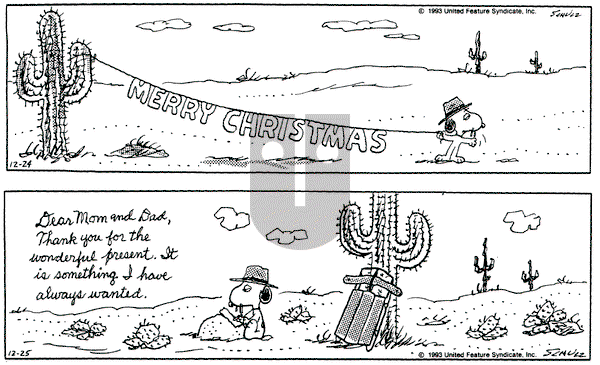 Peanuts on Friday December 24, 1993 Comic Strip