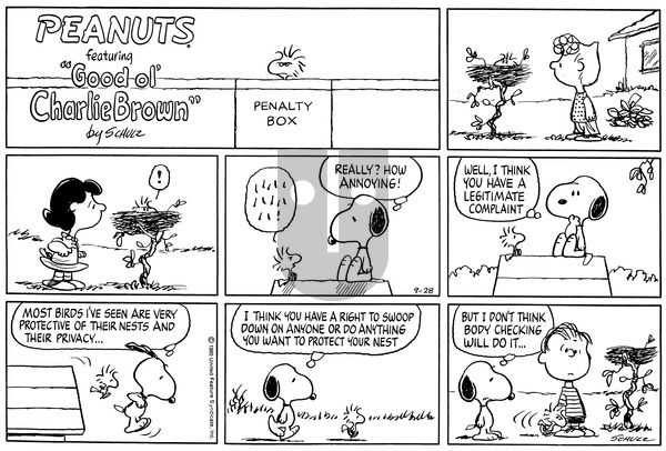 Peanuts on Sunday September 28, 1980 Comic Strip