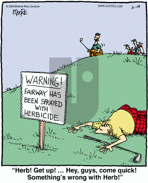 In the Bleachers - Thursday February 19, 2004 Comic Strip