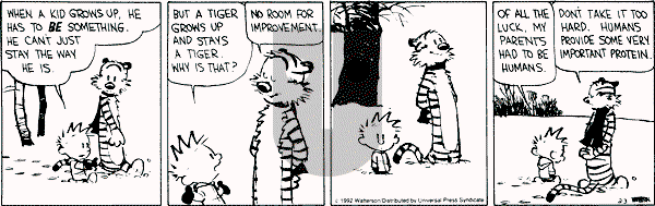 Calvin and Hobbes - Monday February 3, 1992 Comic Strip