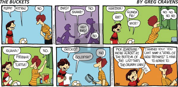 The Buckets on Sunday January 27, 2019 Comic Strip
