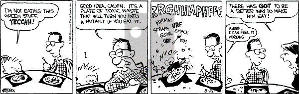 Calvin and Hobbes - Tuesday May 21, 1991 Comic Strip