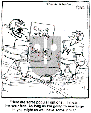 In the Bleachers on Saturday November 16, 1996 Comic Strip