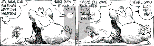 The Grizzwells on Tuesday September 9, 2008 Comic Strip