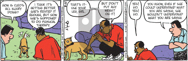 Cleats - Saturday August 25, 2007 Comic Strip