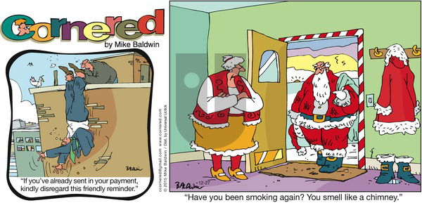 Cornered on Sunday December 27, 2015 Comic Strip
