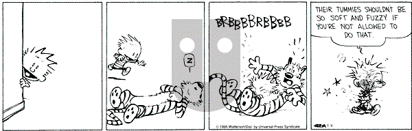 Calvin and Hobbes - Wednesday January 11, 1995 Comic Strip