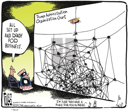 Tom Toles on Sunday January 22, 2017 Comic Strip