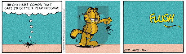 Garfield on Saturday April 6, 1996 Comic Strip